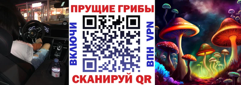 Псилоцибиновые грибы MAGIC MUSHROOMS  Калуга 
