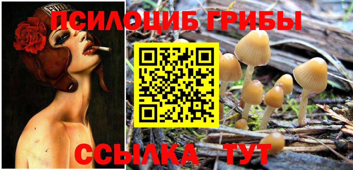 Псилоцибиновые грибы прущие грибы Калуга