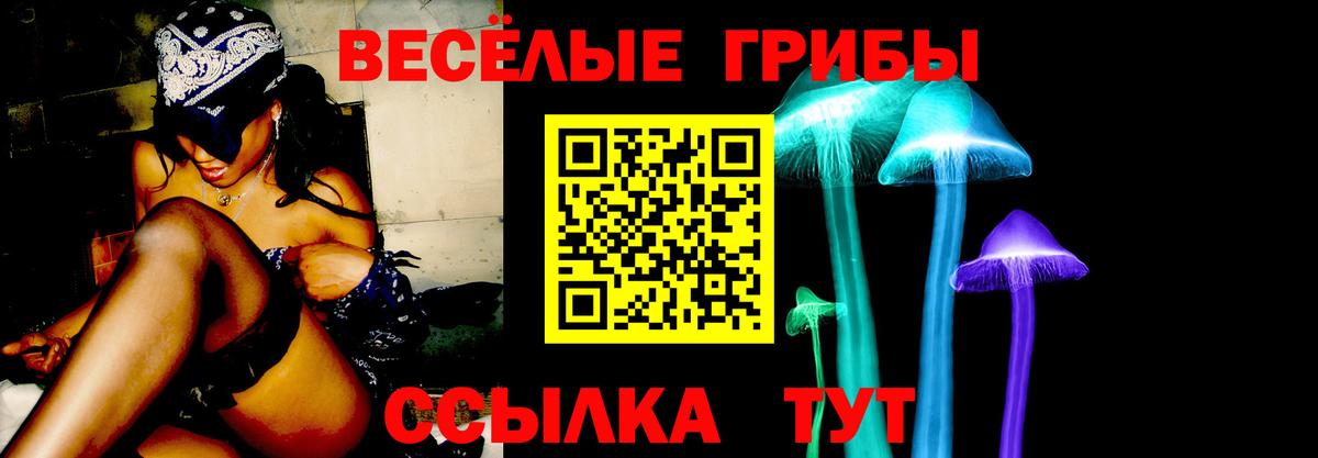 Галлюциногенные грибы Cubensis  Вход с VPN  как найти закладки  Калуга  Псилоцибиновые грибы мицелий 